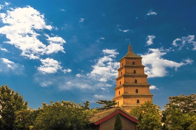 Xian Small Group Day Tour:Terracotta Army, Big Wild Goose Pagoda and City Wall - The Sum Up
