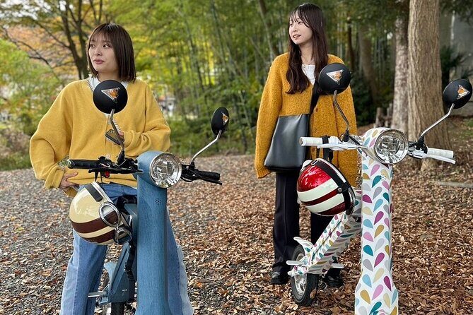 Yahiko Petit E-Motorcycle Tour: Flexible Courses to Enjoy Yahiko - Analyzing the Value