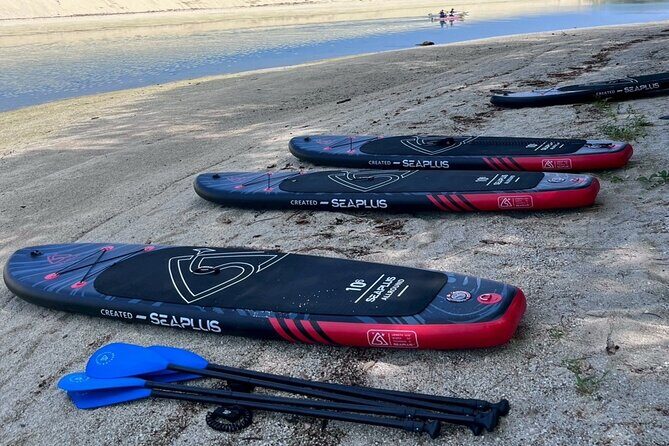 Yakushima Adventure Gear Rentals for Outdoor Fun - Practical Details and Tips