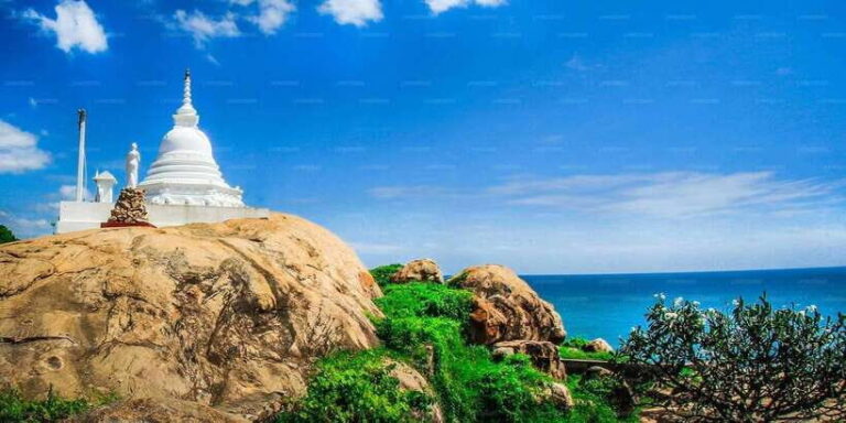 Yala: Full-Day Private All-Inclusive Temple Discovery Tour - Who Should Consider This Tour?
