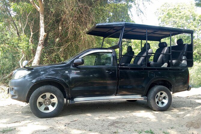 Yala National Park Safari Half Day and Full Day Tours - Why the Small-Group and Personalized Approach Matters