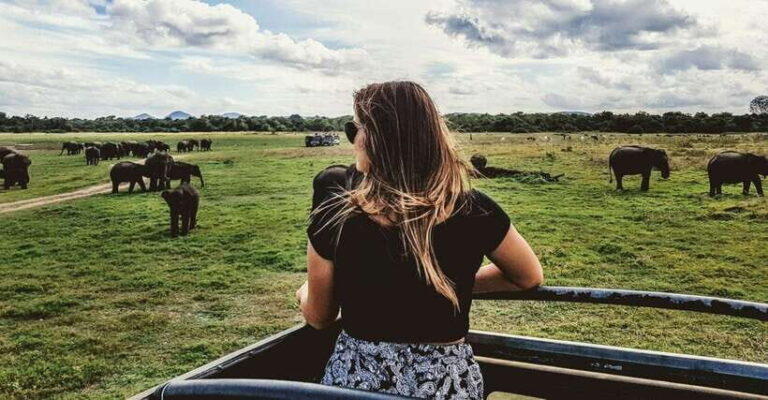 YALA SAFARI TOUR from TANGALLE/HIRIKETIYA/MIRISSA/GALLE - Practical Tips for Your Safari Adventure