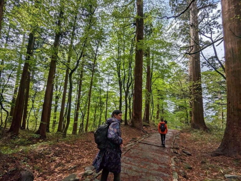 Yamagata / Yamadera Private Trip with Licensed Guide - What to Expect from the Tour