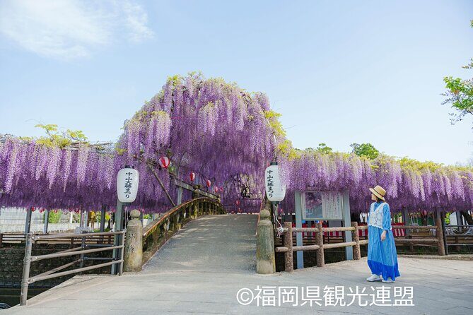 Yanagawa Great Wisteria and Traditional Canal Boat Experience - Value and Practical Considerations