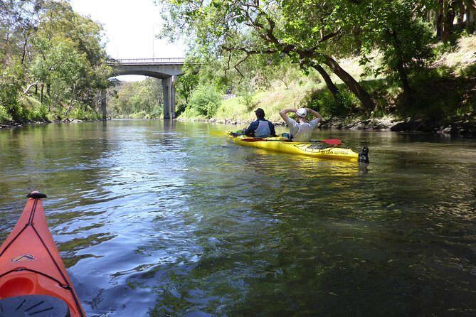 Yarra River Kayak Hire - Why Choose the Yarra River Kayak Hire?