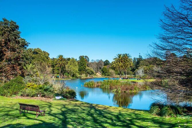 Yarra River Nature Trail Walk - Who Will Love This Tour?