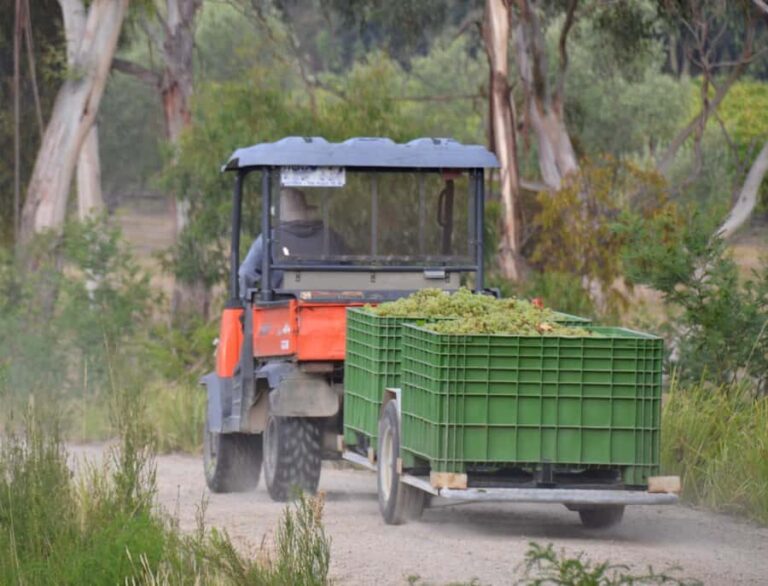 Yarra Valley and Dandenong Ranges: Scenic Bus Tour and Lunch - The Value of the Experience