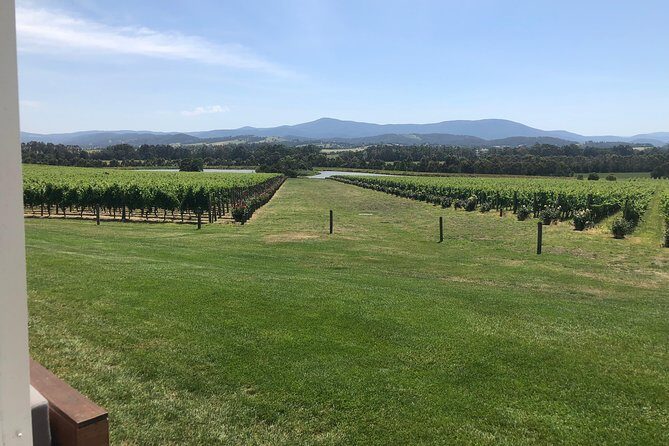 Yarra Valley, Dandenong Ranges inc. lunch with wine,plus morning tea,chocolate - Chocolate & Cheese: The Sweet & Savory Finale
