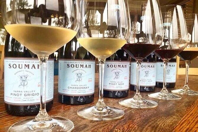 Yarra Valley Half-Day Winery Tour from Melbourne - Optional Gin Tasting and Additional Notes