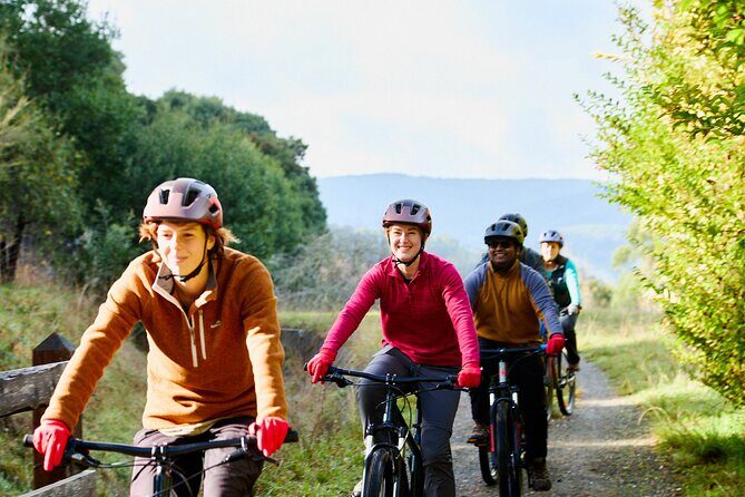 Yarra Valley Redwood Forest Mountain Bike Adventure - Why This Tour Offers Great Value
