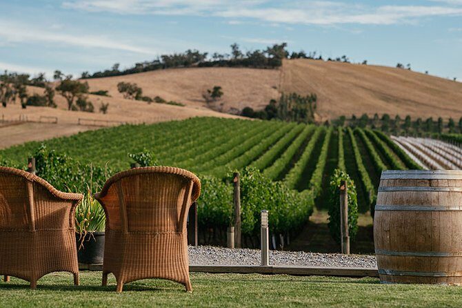 Yarra Valley Small Group with Lunch and Gin Tasting Four Pillars - Transport and Comfort