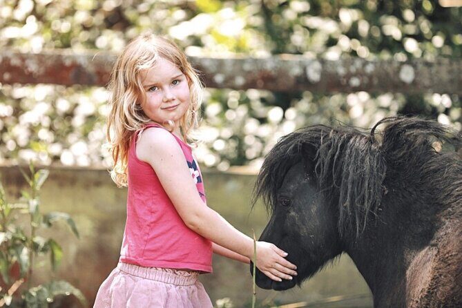 Yarramalong Valley Horse Farm Tours - The Sum Up: A Worthwhile Rural Escape