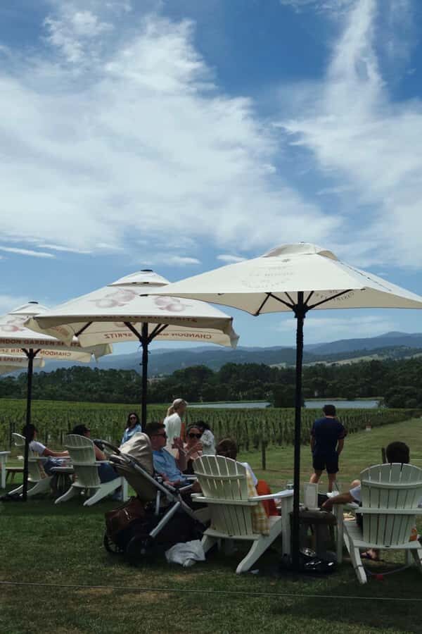 Yering Winery, LV Chandon Winery, Puffing Billy Steam Train - The Charm of Puffing Billy and the Dandenong Ranges