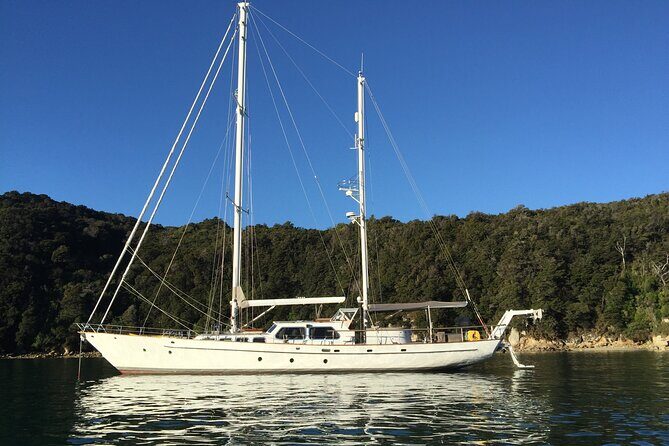 Yonder Star Sailing Yacht - Who Is This Tour Best For?