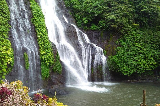 Your Own Day Tour Program - Authentic Experiences and Practical Benefits
