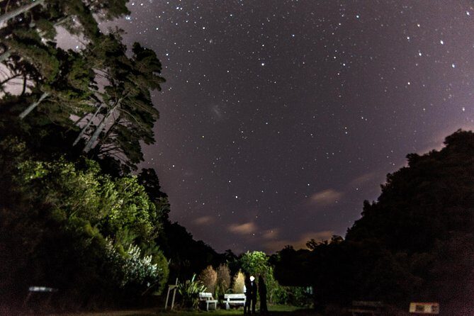 Zealandia Small Group Eco Wildlife Night Tour - A Deep Dive into the Zealandia Night Tour