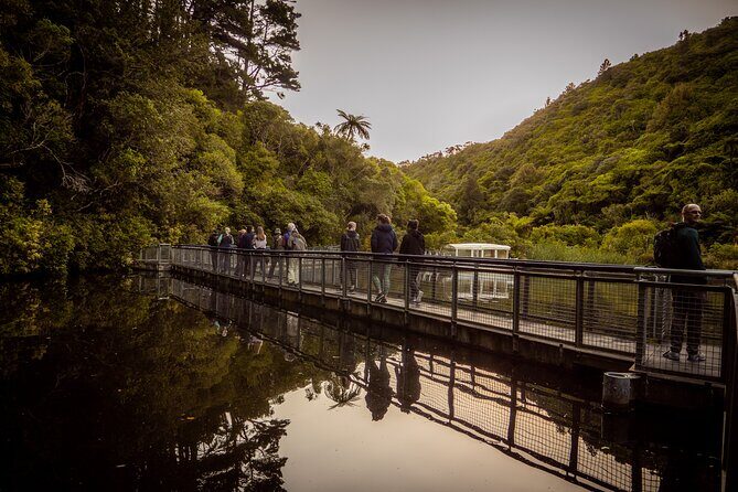 Zealandia - Twilight Guided Eco Wildlife Tour - FAQ