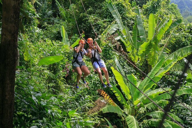 Zipline & Coffee with Waterfall Views in Koh Samui - Getting to the Adventure: What to Expect