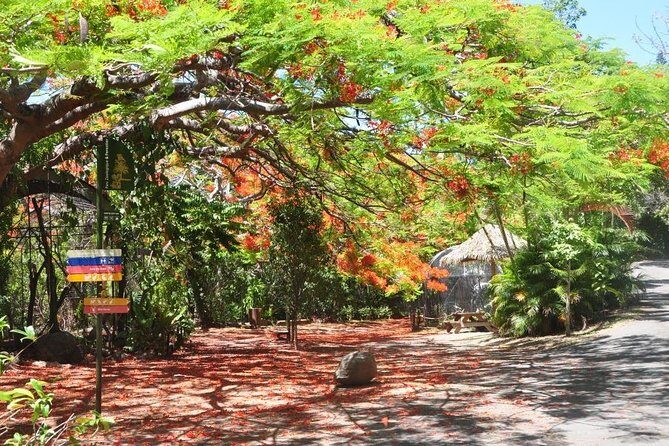 Zoological and Forestry Park Admission Ticket - Practical Tips for Visiting