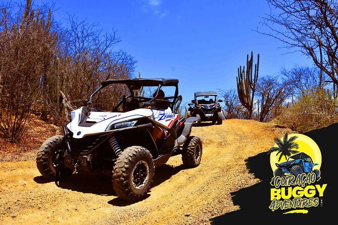 2-Hour Buggy Adventure Tour in Curacao - Who Will Enjoy This Tour?