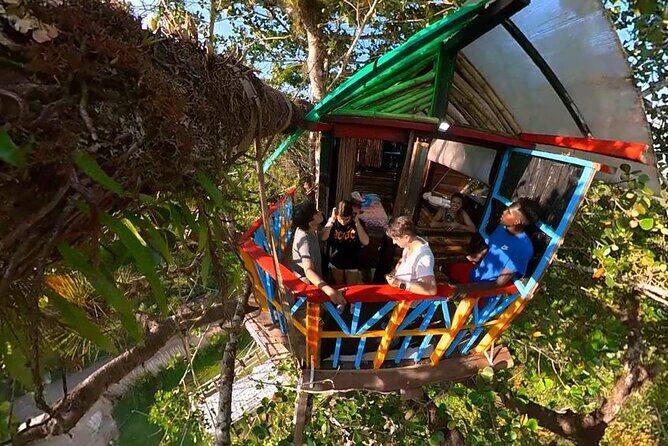 2in1: Los Haitises National Park + Yanigua Waterfall-SPA - What the Tour Offers: A Deep Dive into the Day