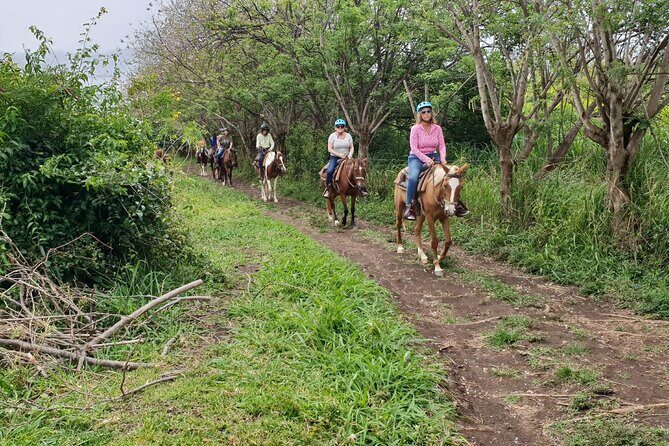 3 Hours Horseback Riding from Nature Trails to Sofa Stone - A Deep Dive into the Horseback Riding Experience