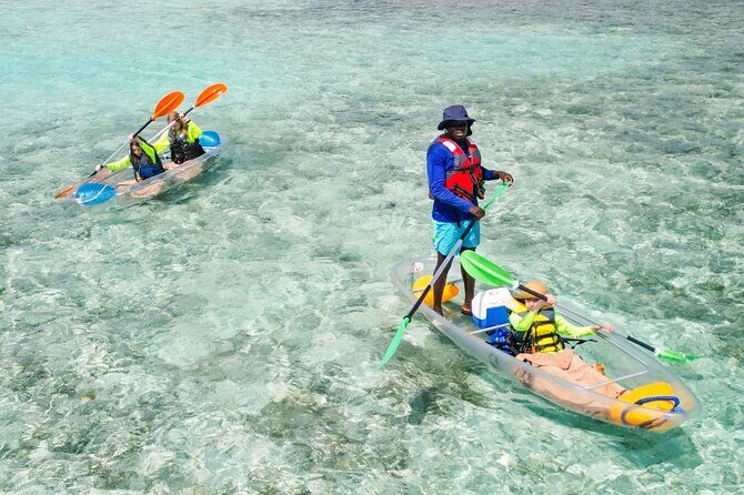 3HR Clear Kayak Mangrove and iguana island Tour in Leeward - The Experience and Group Dynamics