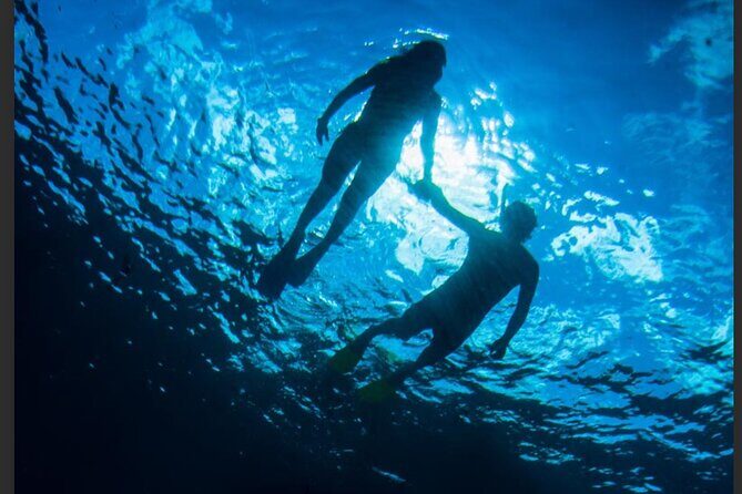 3HR Emerald reef snorkeling, iguana island and shipwreck tour - The Experience in Detail