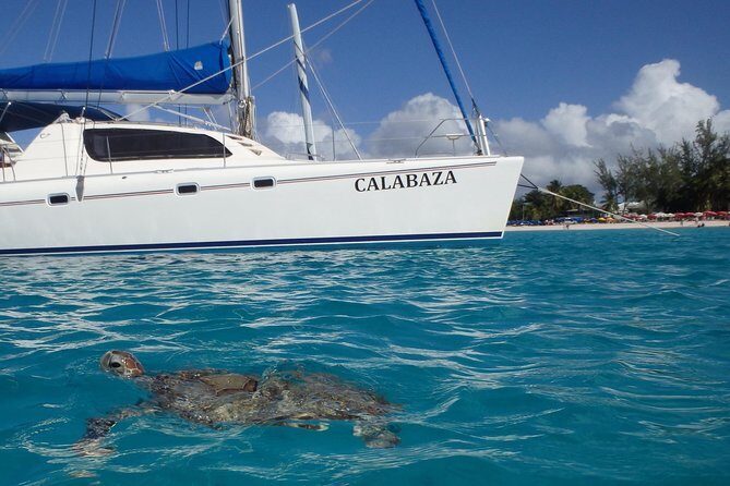 5-Hour Small-Group Catamaran Cruise from Bridgetown with Lunch - Who Will Love This Tour?