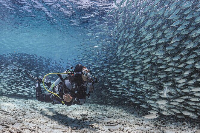 6 days unlimited diving - What to Expect During Your 6 Days