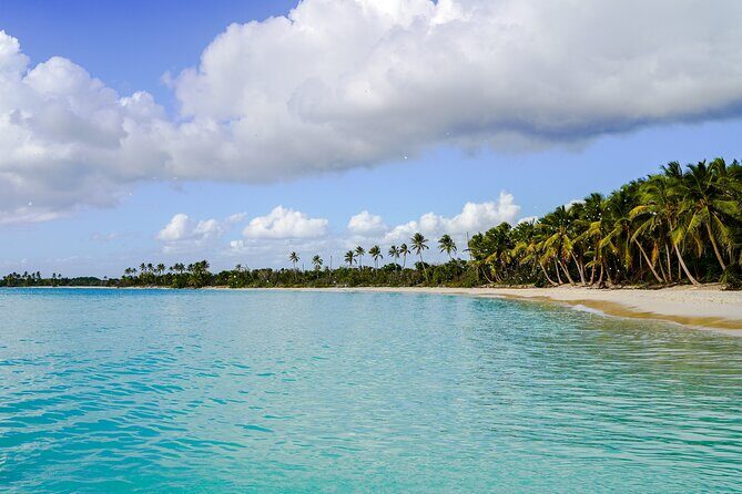 6 Hour Private Saona Island Tour with Snorkeling - A Closer Look at the Itinerary