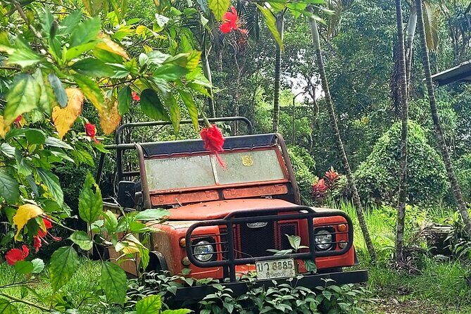 6 Hrs Off Road 4x4 Adventure of Hidden Gems In Koh Samui Hills 1 - 4 persons - The Experience on the Road: What to Expect
