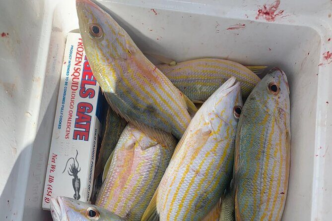 8HR Catch and Grill in Turks and Caicos Islands - What to Expect on the Day