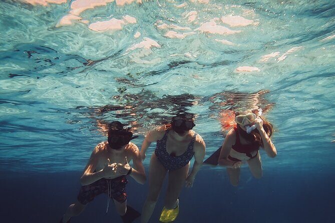 Acquarius Stingray City and Snorkel Tours - Pricing & Overall Value