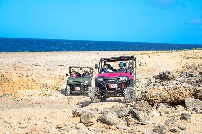 Action-Packed Half Day Aruba UTV Tour and Cave Pool - What the Itinerary Looks Like