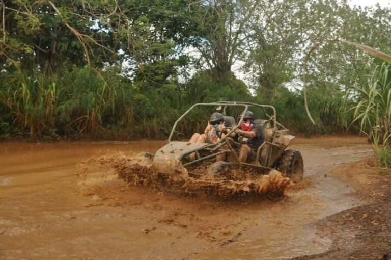 Adventure Bayahibe Buggy between Jungle, Caves & Beaches - The Value of the Tour