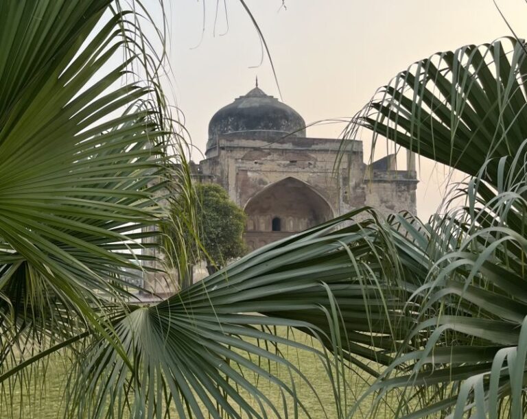Agra: Skip-The-Line Taj Mahal & Agra Private Tour By Car - What to Expect on Your Day in Agra