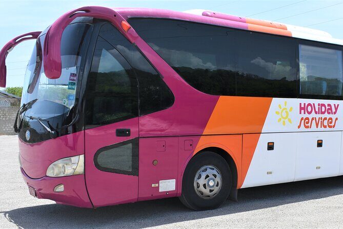 AirBnB/Hotel MBJ Airport Shuttle to all areas -one way/round trip - Why This Shuttle Is a Good Choice for Travelers