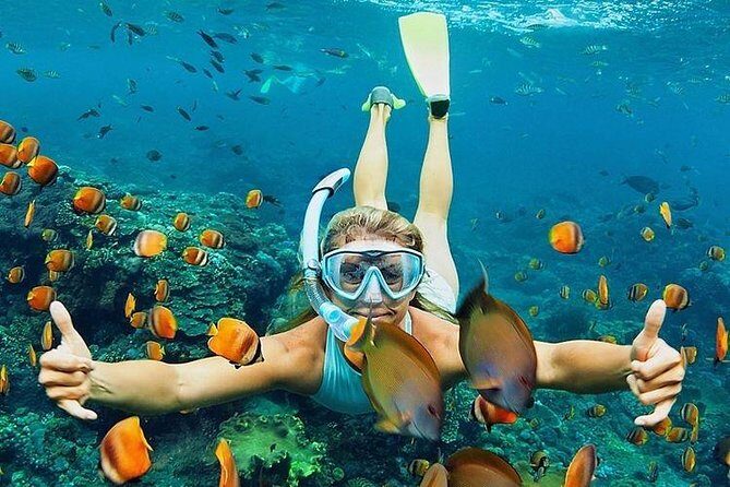 All Inclusive : Bali Blue Lagoon Snorkeling, Lunch, and Transport - Optional Upgrades: More Than Just Snorkeling
