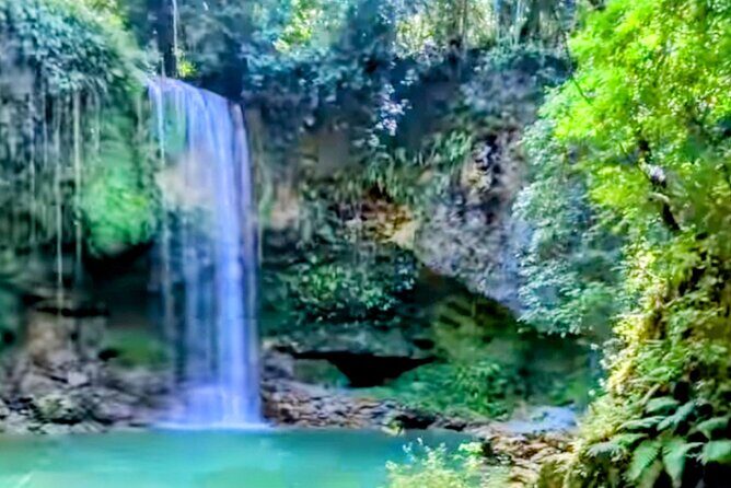 AMBER COVE-TAINO BAY 5 Zip Lines 7 Waterfalls + Locale Food - FAQ