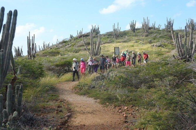 Arikok Adventurous Hiking Experience in Aruba - From the Reviews: Authentic Experiences and Realities