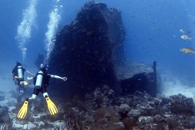 Aruba 2-Tank Dive Excursion for Certified Divers - Practical Tips