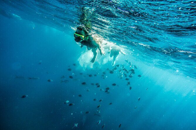 Aruba Afternoon Snorkel Sail aboard Palm Pleasure Catamaran - FAQs
