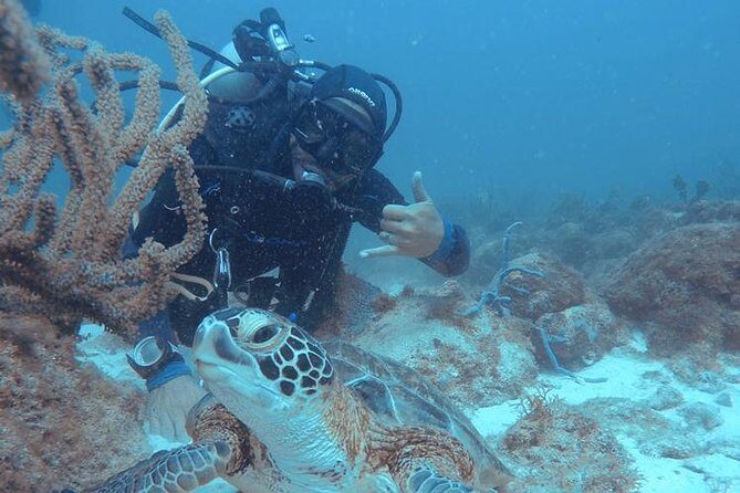 Aruba Certified Scuba Diving - Who Should Consider This Tour