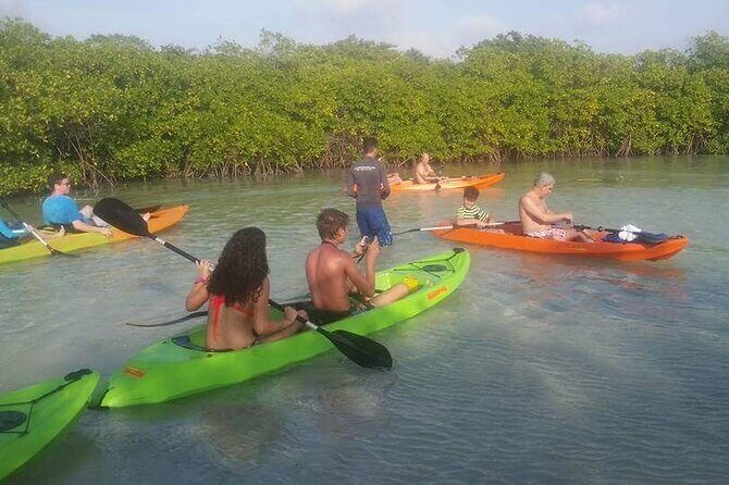 Aruba Glass Bottom Kayak Tour through the Mangrove Forest - The Itinerary Breakdown
