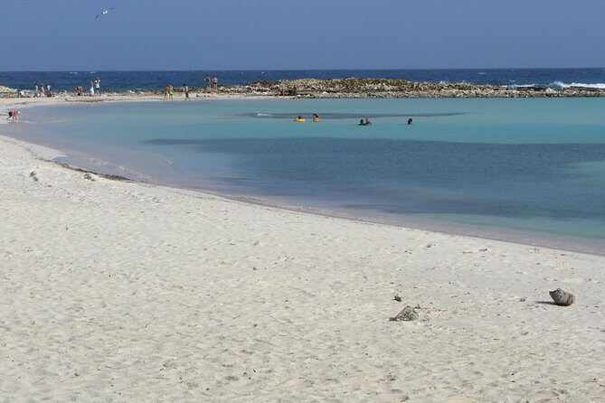 Aruba Mangel Halto and Baby Beach Snorkeling Guided Tour - Final Thoughts: Is It Worth It?