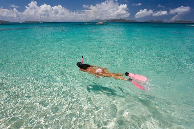 Aruba Morning Snorkel Sail aboard Palm Pleasure Catamaran - Who Should Consider This Tour?