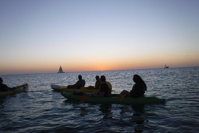Aruba Night Glass Kayak Tour - The Sum Up