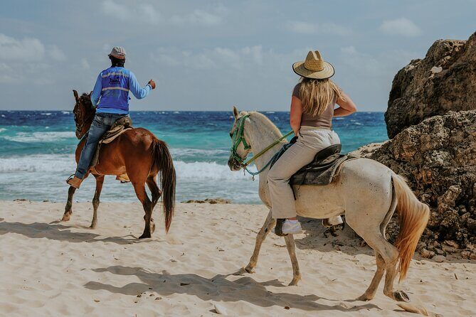 Aruba North Coastline: Small-Group Horseback Riding Tour - FAQ