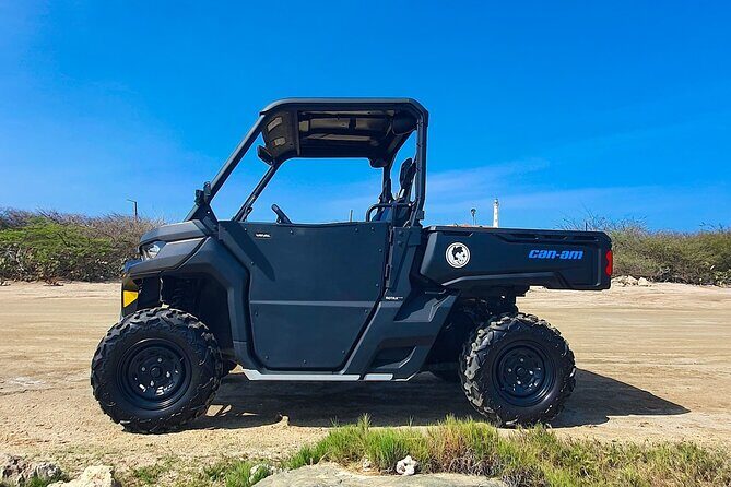 Aruba Rental Explore On Your Own - Authentic Experiences and Traveler Opinions